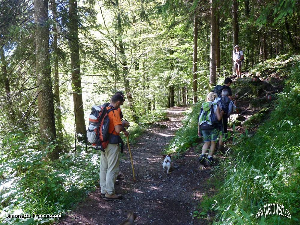 03 Ci inoltriamo nel fresco bosco.JPG